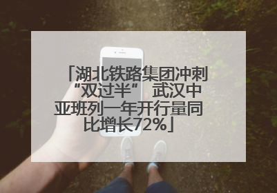 湖北铁路集团冲刺“双过半” 武汉中亚班列一年开行量同比增长72%