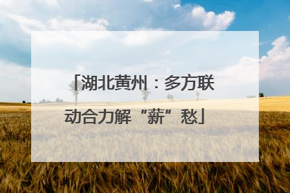 湖北黄州：多方联动合力解“薪”愁