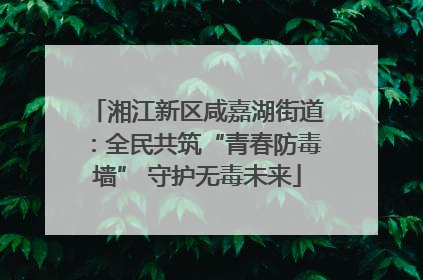 湘江新区咸嘉湖街道：全民共筑“青春防毒墙” 守护无毒未来