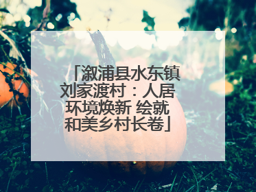溆浦县水东镇刘家渡村：人居环境焕新 绘就和美乡村长卷