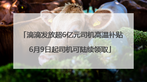 滴滴发放超6亿元司机高温补贴 6月9日起司机可陆续领取