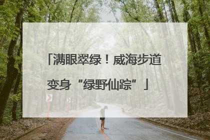 满眼翠绿!威海步道变身“绿野仙踪”