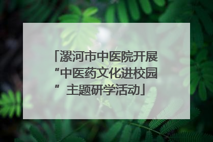 漯河市中医院开展“中医药文化进校园”主题研学活动