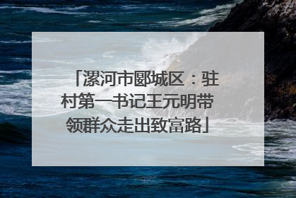 漯河市郾城区：驻村第一书记王元明带领群众走出致富路