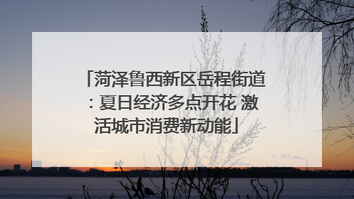 菏泽鲁西新区岳程街道：夏日经济多点开花 激活城市消费新动能