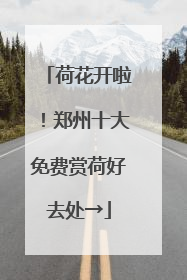荷花开啦！郑州十大免费赏荷好去处→