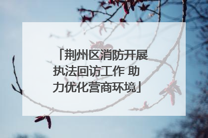 荆州区消防开展执法回访工作 助力优化营商环境