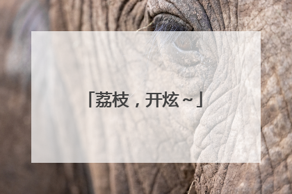 荔枝，开炫～