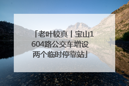 老叶较真丨宝山1604路公交车增设两个临时停靠站