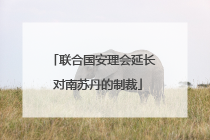 联合国安理会延长对南苏丹的制裁