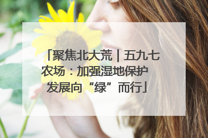 聚焦北大荒｜五九七农场：加强湿地保护 发展向“绿”而行