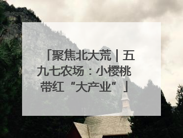 聚焦北大荒｜五九七农场：小樱桃带红“大产业”