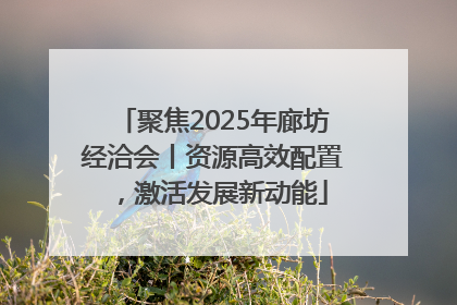 聚焦2025年廊坊经洽会丨资源高效配置，激活发展新动能