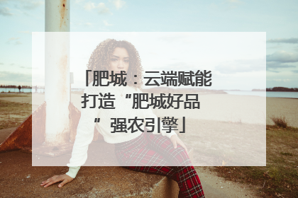 肥城：云端赋能 打造“肥城好品”强农引擎