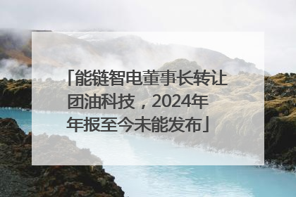 能链智电董事长转让团油科技，2024年年报至今未能发布