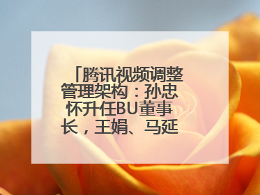 腾讯视频调整管理架构：孙忠怀升任BU董事长，王娟、马延琨任联席总裁