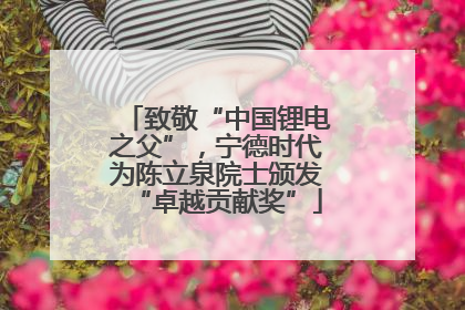 致敬“中国锂电之父”，宁德时代为陈立泉院士颁发“卓越贡献奖”