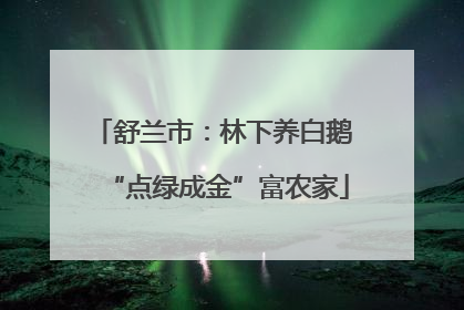 舒兰市：林下养白鹅 “点绿成金”富农家