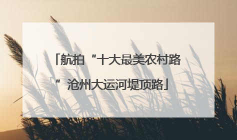 航拍“十大最美农村路”沧州大运河堤顶路