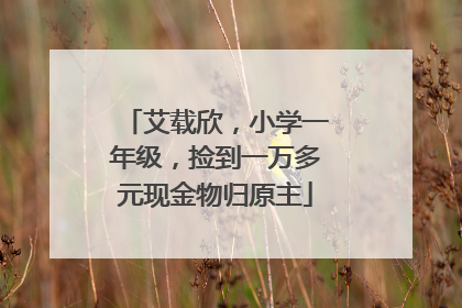 艾载欣，小学一年级，捡到一万多元现金物归原主