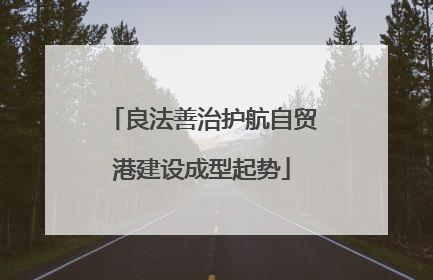 良法善治护航自贸港建设成型起势