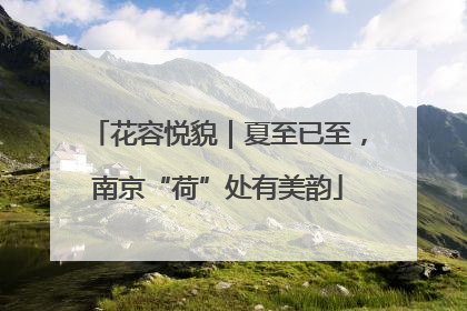 花容悦貌｜夏至已至，南京“荷”处有美韵