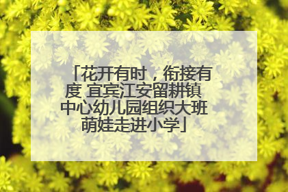 花开有时，衔接有度 宜宾江安留耕镇中心幼儿园组织大班萌娃走进小学