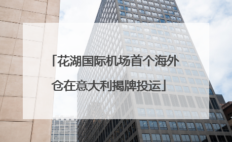 花湖国际机场首个海外仓在意大利揭牌投运