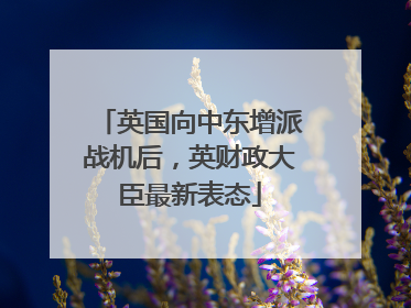 英国向中东增派战机后，英财政大臣最新表态