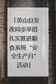 英山县发改局多举措扎实推进粮食系统“安全生产月”活动