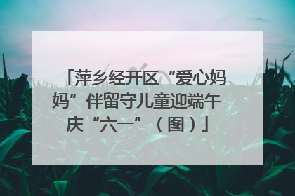 萍乡经开区“爱心妈妈”伴留守儿童迎端午庆“六一”（图）