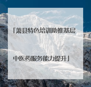 萧县特色培训助推基层中医药服务能力提升