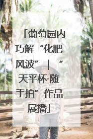 葡萄园内巧解“化肥风波”｜“天平杯·随手拍”作品展播