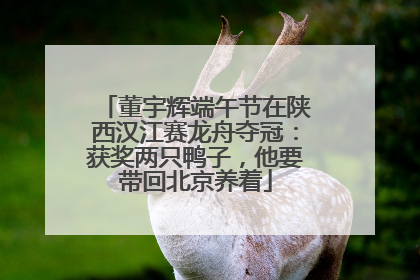 董宇辉端午节在陕西汉江赛龙舟夺冠：获奖两只鸭子，他要带回北京养着