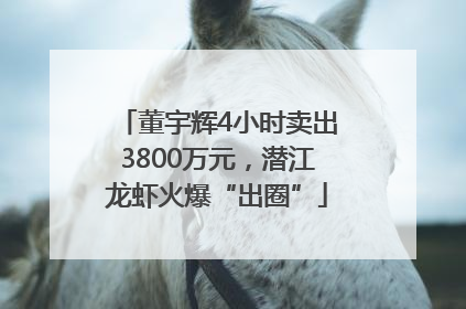 董宇辉4小时卖出3800万元，潜江龙虾火爆“出圈”