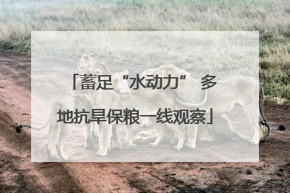 蓄足“水动力” 多地抗旱保粮一线观察