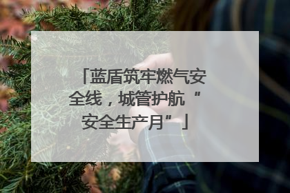 蓝盾筑牢燃气安全线，城管护航“安全生产月”