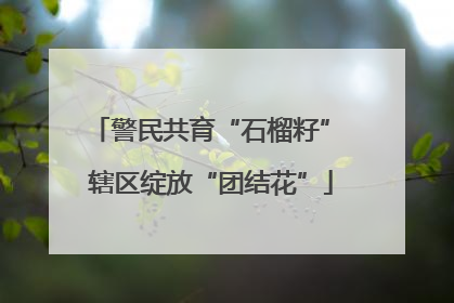 警民共育“石榴籽” 辖区绽放“团结花”