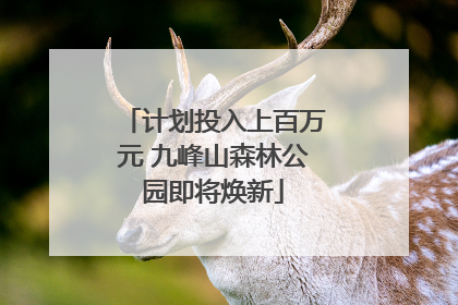 计划投入上百万元 九峰山森林公园即将焕新