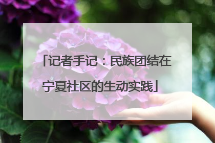 记者手记：民族团结在宁夏社区的生动实践
