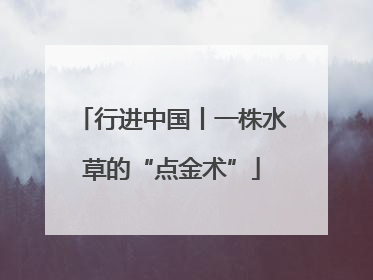 行进中国丨一株水草的“点金术”