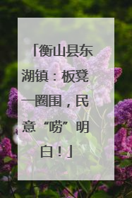 衡山县东湖镇：板凳一圈围，民意“唠”明白！