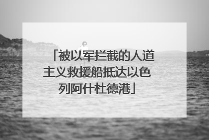 被以军拦截的人道主义救援船抵达以色列阿什杜德港