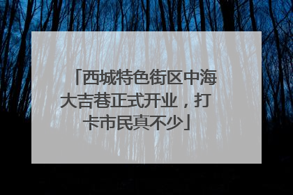 西城特色街区中海大吉巷正式开业，打卡市民真不少
