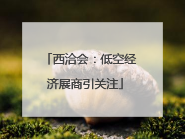 西洽会：低空经济展商引关注