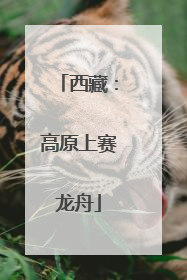 西藏：高原上赛龙舟