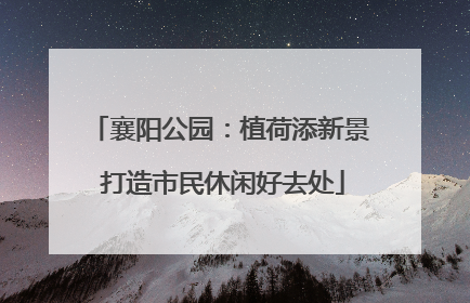 襄阳公园：植荷添新景 打造市民休闲好去处