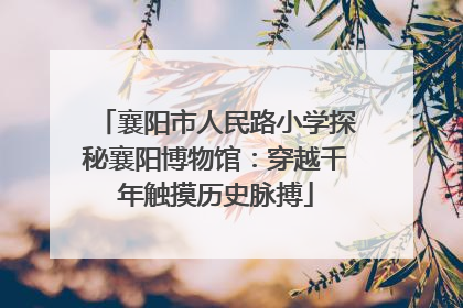 襄阳市人民路小学探秘襄阳博物馆：穿越千年触摸历史脉搏