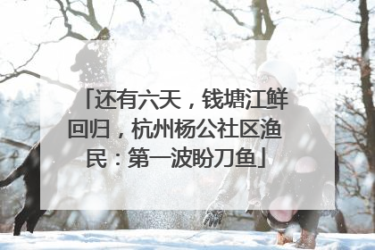 还有六天，钱塘江鲜回归，杭州杨公社区渔民：第一波盼刀鱼