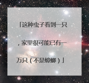 这种虫子看到一只，家里很可能已有一万只（不是蟑螂）